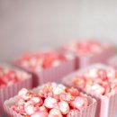 행복카페 Daum카페