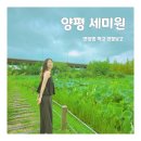 지에스25 양평양산점 | 양평 갈만한 곳 연잎밥 먹고 연꽃 정원 세미원까지 하루 종일 연꽃 투어