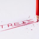 히포 유도장 이미지