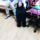 Lovely아지 이미지