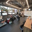 타이거 파라다이스 이미지