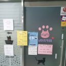 냥아치카페 이미지