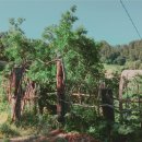 모시개민박 이미지