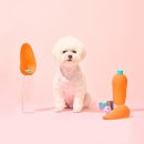 개님의상점 이미지