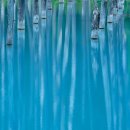 National Geographic Photo Contest 2012 : Part ll 이미지