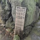 풍경찻집 | 제주 영국 찻집 애월 서쪽 카페 스콘 맛집 후기