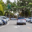 삼문동둔치길(삼문송림) 이미지