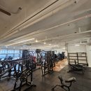 스파르타짐 이미지