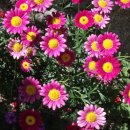 여민행정사사무소 이미지