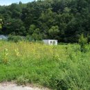 양지농장(1) 이미지