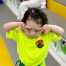 승리태권도 전민관 이미지