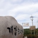 추경농장 네이버블로그