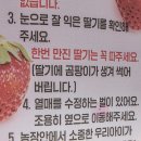 세세농장 이미지