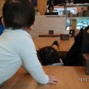 시민식육점 이미지