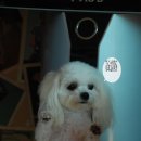 닥종이인형박물관 | "방구석보다 캠핑"에 페밀리가 떴다 제주도 캠핑후기(1탄)