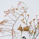 우빈디자인 네이버블로그