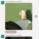 멍멍아학교가자 (대곡점) 이미지