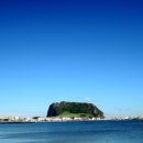 썬시티게스트하우스 - 강남구 강남대로146길 7-12 | 썬시티게스트하우스