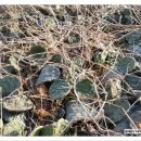 호 농장 이미지