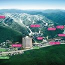 마이애미정선 이미지