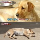 안국사 이미지