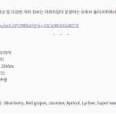 로투스랩