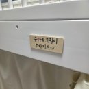 사인미니
