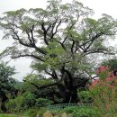 천곡 마을회관 이미지