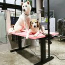 에스제이(SJ)컴퍼니 이미지