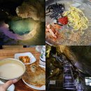 ㈜광명관광 | 강원도 영월 여행 가볼만한곳 고씨동굴