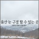 소호분교초등학교 | 울산에서 눈 볼 수 있는 곳/상북 소호 다녀왔어요