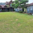 오투아이 이미지