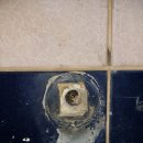 군포양정초교 이미지