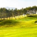 (주)HJ매그놀리아용평호텔앤리조트