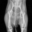 삼화 우수한동물병원 이미지