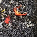 옥종농장 이미지