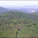 노란담장 이미지