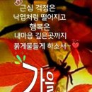 귀족제화 이미지