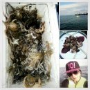 송악본전낚시