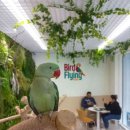 양지로92번길 이미지