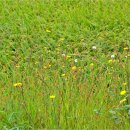 농장마을 이미지