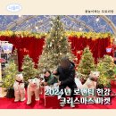 2024년 로맨틱한강 크리스마스마켓 다녀온 후기 ( 한강 여의도 공원 주차팁 )