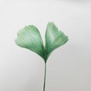 당신의 꽃그림 보테니컬 아트 이미지