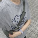 양지로1L | 룰루레몬 에브리웨어 벨트백 라지 2L(1L와의 차이점)후기 착샷 리뷰 내돈내산