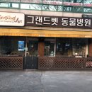 그랜드벳동물병원 이미지