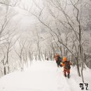 누꽃 티스토리