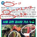 "Your Seoul Goes On"과 음모론 이미지