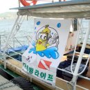 월매민박 | [스크랩] 속초 용 스쿠바 나이트록스 후기(1)