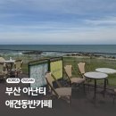 벨라애견카페 | 부산 기장 아난티 오션뷰 애견동반카페 주차 메뉴 가격