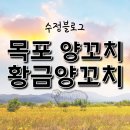 목포황금양꼬치